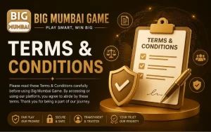 Terms & Conditions
